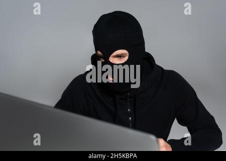 Hacker in balaclava guardando il monitor del computer isolato in grigio Foto Stock