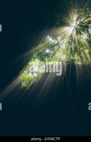 Cascata Tukad Cepung, una vista ad angolo basso con luce solare che brilla nel canyon; Bali, Indonesia Foto Stock