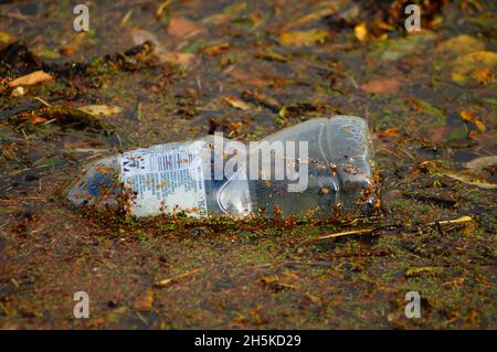 FRANCOFORTE, GERMANIA - 22 ottobre 2021: I rifiuti di plastica rappresentano un grave problema ambientale. Una bottiglia galleggia nel fiume Nidda. Ci sarebbe stato anche un de Foto Stock