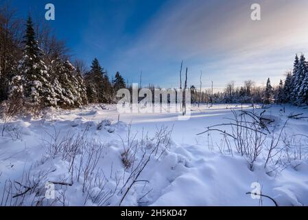 Paesaggio innevato incontaminato nelle Laurentides; Quebec, Canada Foto Stock