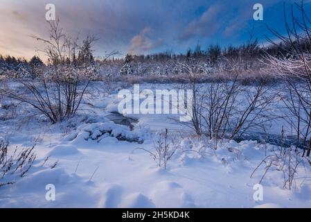 Paesaggio innevato incontaminato nelle Laurentides; Quebec, Canada Foto Stock