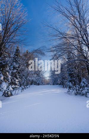 Paesaggio innevato incontaminato nelle Laurentides; Quebec, Canada Foto Stock