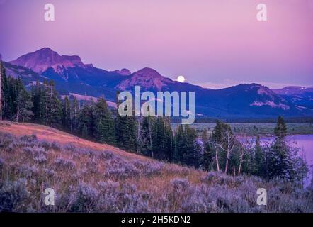 La luna piena sopra il lago di Yellowstone e Coulter Peak. Foto Stock