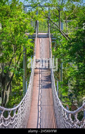 Una struttura in legno tree top passeggiata pedonale lungo la foresta del National Wildlife Refugee Foto Stock