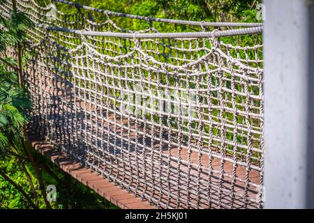 Una struttura in legno tree top passeggiata pedonale lungo la foresta del National Wildlife Refugee Foto Stock