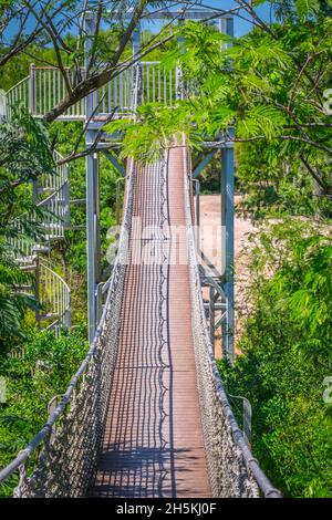 Una struttura in legno tree top passeggiata pedonale lungo la foresta del National Wildlife Refugee Foto Stock