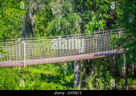 Una struttura in legno tree top passeggiata pedonale lungo la foresta del National Wildlife Refugee Foto Stock