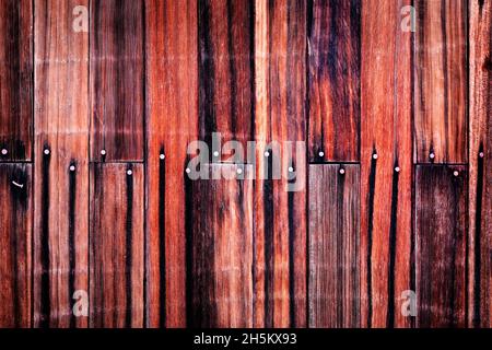 Vecchio Red Barn legno parete sfondo testurizzato con diversi chiodi Foto Stock