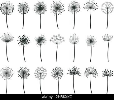 Fioriture floreali di fioriture di fioriture di Dandelion Blowball botanical. Set di illustrazione piatta vettoriale di blowball di dente di leone disegnato a mano. Semi di dente di leone Illustrazione Vettoriale