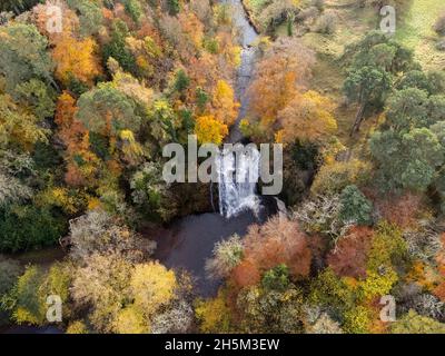 Kelso, Regno Unito. 10 novembre 2021. Kelso, Regno Unito, Mercoledì 10 Novembre 2021 . Cascata Stichill Linn sull'acqua Eden, nella tenuta Newton Don alla periferia di Kelso. Circondato dai colori autunnali del paesaggio e dei boschi di confine. L'acqua cade su 40ft come largo come è alto. ( Credit: Rob Grey/Alamy Live News Foto Stock