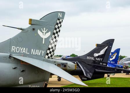 British Aerospace Sea Harrier FA2 Jets, ex Royal Navy 801 e 899 Naval Air Squadron. Con Everett Aero a Bentwaters. La coda lampeggia Foto Stock