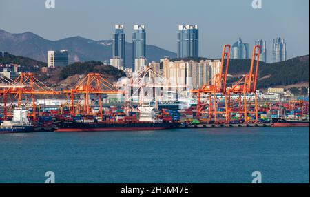 Busan, Corea del Sud - 22 marzo 2018: Vista sul porto di Busan in una giornata di sole, carico di navi container Foto Stock