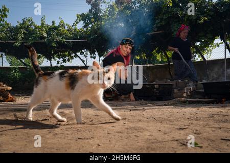 Ankara, Turchia - Settembre 18 2021: La melassa viene prodotta facendo bollire l'uva alle alte temperature nei cavoldri. La donna produce melassa (pekmez in turco). Circa Foto Stock