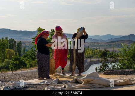 Ankara, Turchia - Settembre 18 2021: Donne che preparano il grano bulgur. Foto Stock