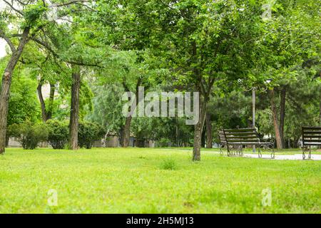 Panorama del bellissimo parco cittadino Foto Stock