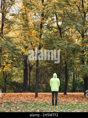 Autunno. Il giovane uomo si alza indietro guardando fino ad albero in un bosco di auntum Foto Stock