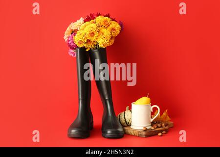 Composizione con stivali in gomma, fiori e noci su sfondo colorato Foto Stock