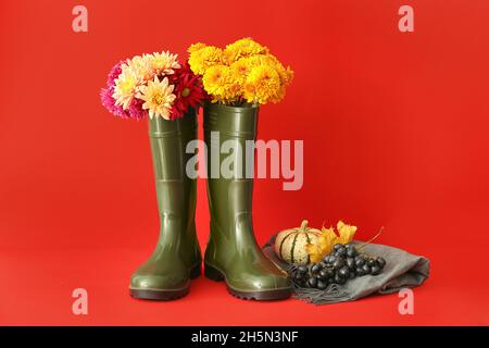 Composizione con stivali in gomma, fiori di crisantemo, zucca e uva su sfondo colorato Foto Stock