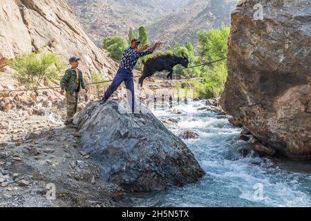 Mavzoley Rudaki, Provincia di Sughd, Tagikistan. Agosto 17, 2021. Pastori che lavano le loro capre nel fiume Urech. Foto Stock