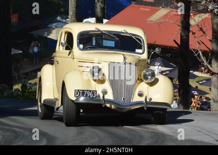 Alan Wylie 1936 Ford V8 coupé al Leadfoot Festival Hill Climb, Hahei NZ, 5 febbraio 2017 Foto Stock