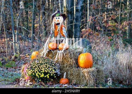 Halloween mostra di festa composto da mamme, zucche, balle di fieno e corvi di paura in Wisconsin, orizzontale Foto Stock