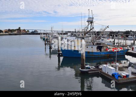 Pescherecci ormeggiati in un porticciolo di San Diego Foto Stock