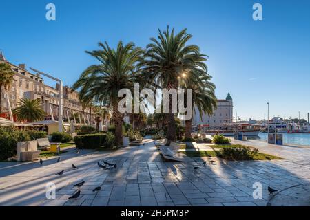 Split Riva Promenade, palme in riva Riva al mattino, Spalato, Dalmazia, Croazia Foto Stock