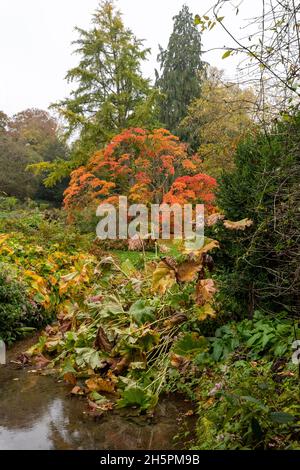 Giardini Sezincote in autunno Foto Stock