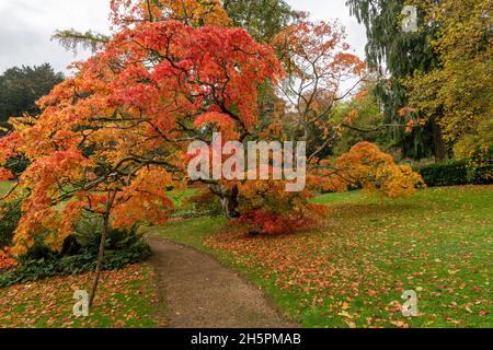 Giardini Sezincote in autunno Foto Stock