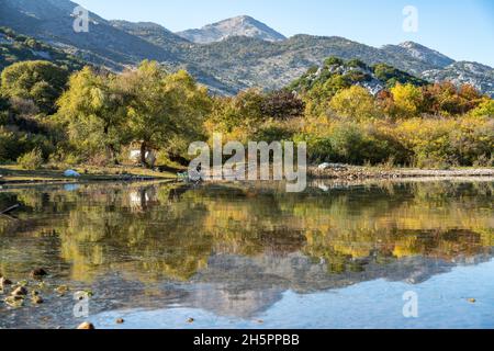 Der Skutarisee beim Dorf Donji Murici, Montenegro, Europa | Lake Skadar at Donji Murici village, Montenegro, Europe Foto Stock