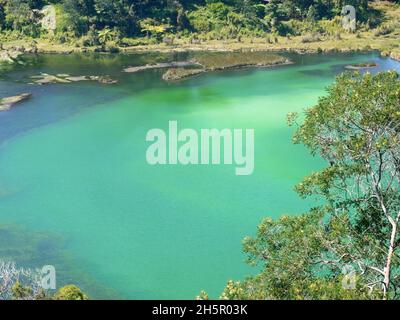 Veduta di Telaga Warna nell'Altopiano di Dieng, Giava Centrale, Indonesia con la foresta circostante e la vegetazione dall'alto Foto Stock