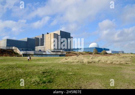 Cani a piedi sulla spiaggia a sizewell centrale nucleare est suffolk inghilterra UK Foto Stock