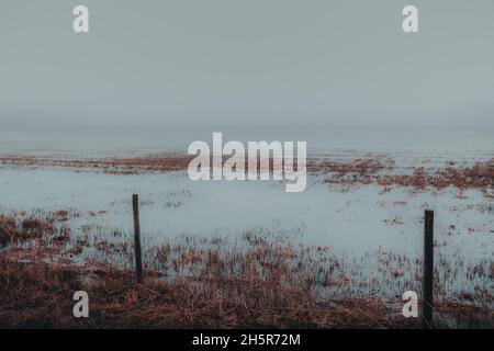 Campo inondato di acqua. Novembre umore. Disastri naturali in agricoltura. Alluvione in terreni agricoli. Grigio giorno d'autunno. Paesaggio appannato. Concetto di cambiamento climatico Foto Stock