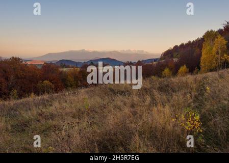 Vista delle colline di acqua che si dividono e Borzhava cresta coperto di rosso, arancio e giallo foresta decidua e alberi sotto il cielo blu in calda serata di autunno in Foto Stock