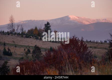 Vista delle colline di acqua che si dividono e Borzhava cresta coperto di rosso, arancio e giallo foresta decidua e alberi sotto il cielo blu in calda serata di autunno in Foto Stock