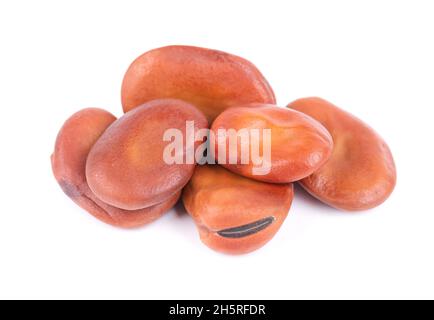 Fave isolate su sfondo bianco. Fagioli di fava asciutti Foto Stock