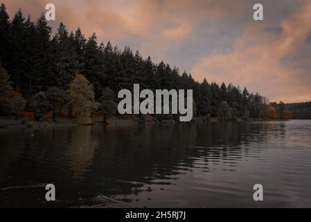 Autunno a Shearwater longleat Foto Stock