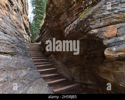 Scale di legno che conducono attraverso una stretta gola con rocce erose colorate vicino alle cascate Athabasca nel Jasper National Park, Alberta, Canada nelle Montagne Rocciose. Foto Stock