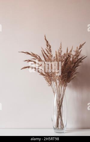 Canne beige secche o fiori di fieno nel vaso di vetro. Decorazioni in stile scandinavo Foto Stock