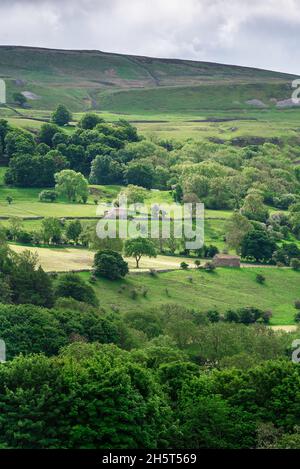 Campagna dello Yorkshire, vista della fattoria tradizionale collina a Wensleydale, Parco Nazionale dello Yorkshire Dales, North Yorkshire, Inghilterra, Regno Unito Foto Stock