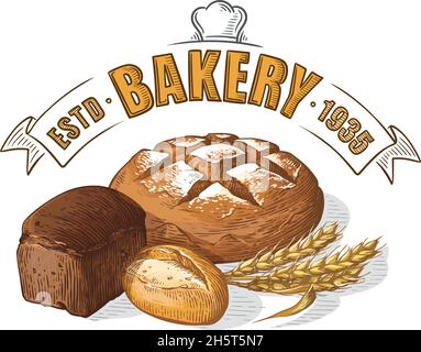 Vettore pane colorato disegno a mano set illustrazione. Altri tipi di frumento, farina pane fresco. Collezione incisa di prodotti da forno glutine Illustrazione Vettoriale