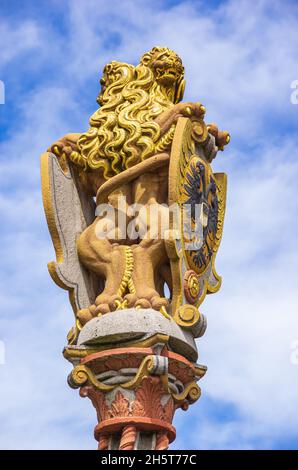 Ulm, Baden-Württemberg, Germania: Scultura in pietra di due animali araldici raffigurati come leoni. Foto Stock