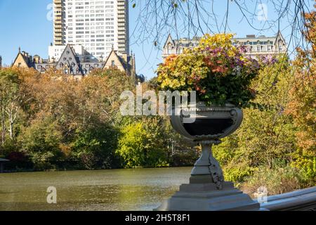 Central Park è popolare nella stagione autunnale, New York City, Stati Uniti d'America Foto Stock