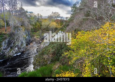 DULSIE BRIDGE NAIRN MORAY SCOZIA RIVER FINDHORN GORGE E GOLDEN BIRCH FOGLIE A FINE AUTUNNO Foto Stock