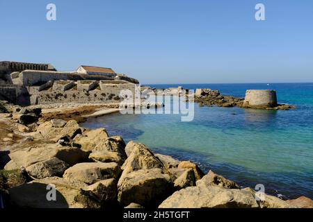 Isla de Tarifa (Isla de las Palomas), Tarifa, Costa de la Luz, Provincia di Cadice, Andalusia, sapin Foto Stock