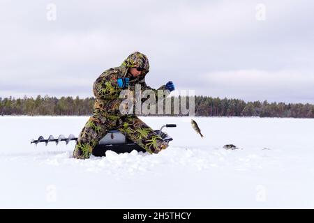 Il pescatore di ghiaccio sul lago cattura il persico durante la pesca invernale. Spazio per la copia del testo Foto Stock