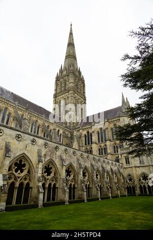 Chiostri e guglia, Cattedrale di Salisbury, St Matys. Salisbury, Wiltshire, Inghilterra Foto Stock