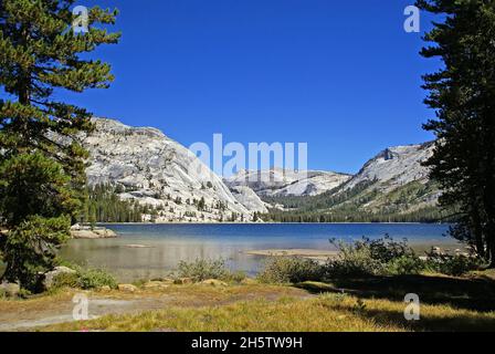 California: Lago Tenaya nel Parco Nazionale di Yosemite Foto Stock