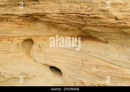 Hoodoos di arenaria, scrivendo su Stone Provincial Park, Alberta, Canada Foto Stock