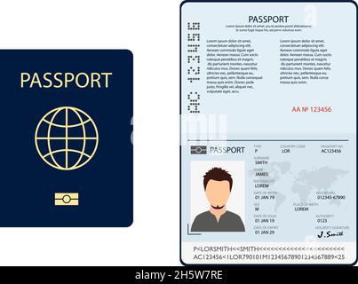 documenti biometrici di passaporto in stile piatto, illustrazione vettoriale Illustrazione Vettoriale